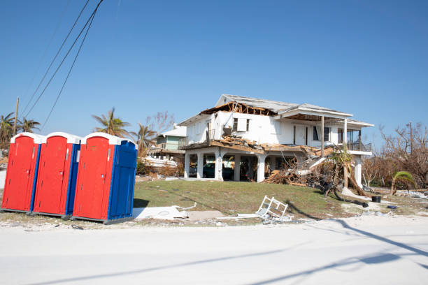 Reliable Ballard, UT Tree Removal Solutions